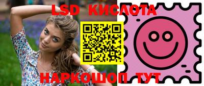 PSILOCYBIN Туймазы