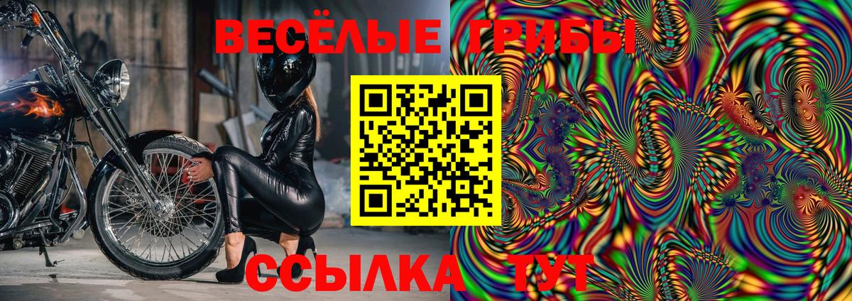 Чернушка  Псилоцибиновые грибы Psilocybine cubensis  Вход с VPN 